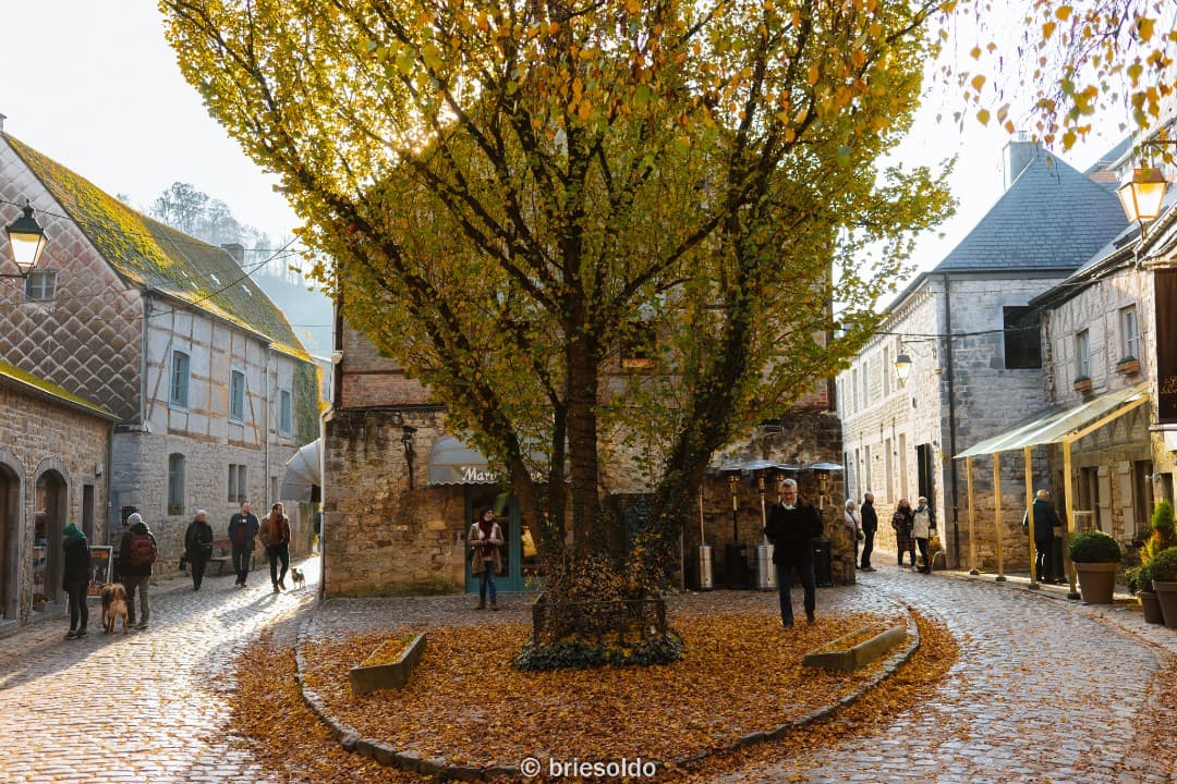 Gallery Image 27