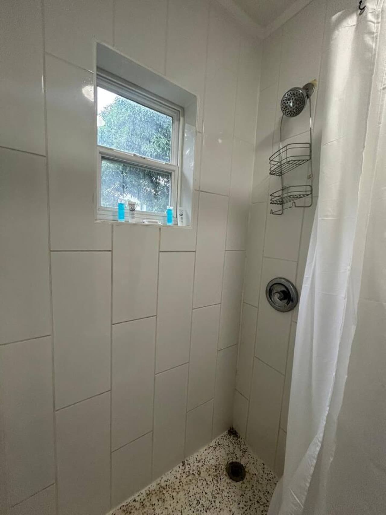 Gallery Image 14