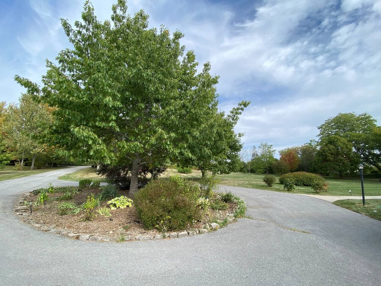 Large parking area with circular driveway and lane to the main road. Lots of space for cars