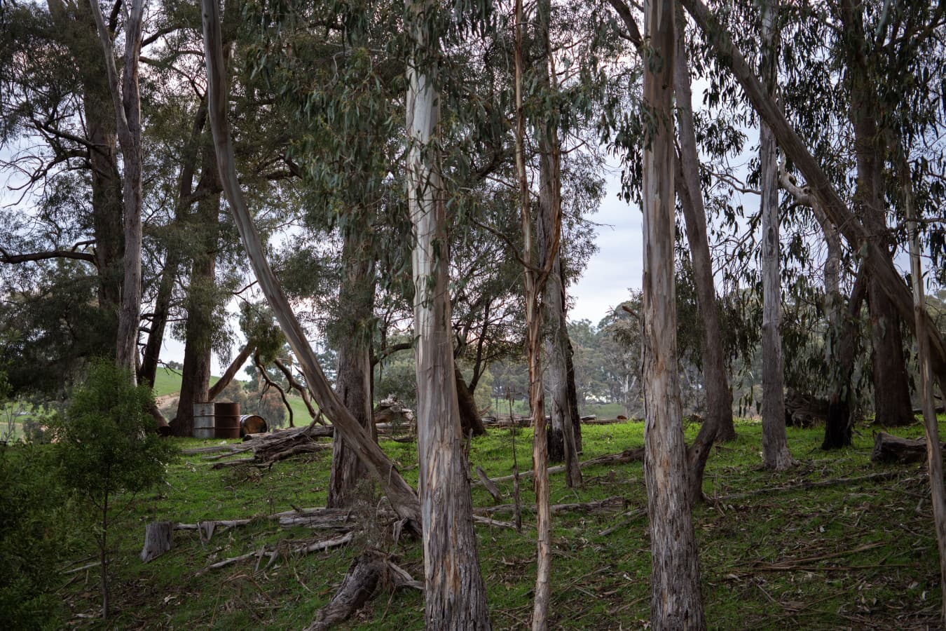 Valley_Park_Merton-Surrounds.jpg