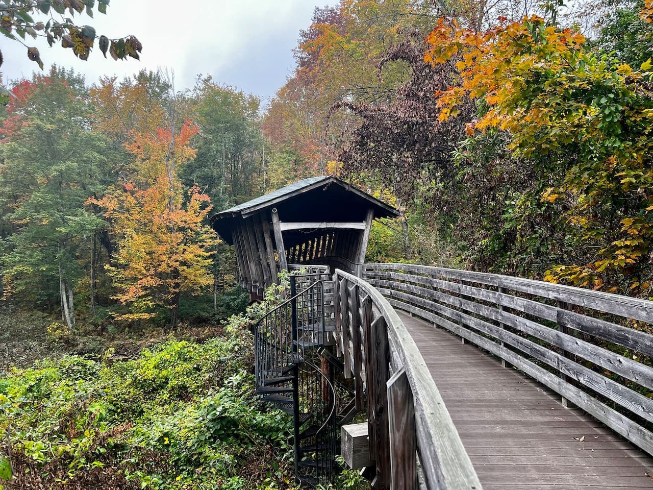 Pondicherry Park with access to gorgeous wooded trails and an 8 minute walk from the house