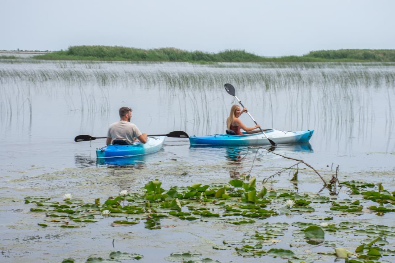 Guests bring their kayaks