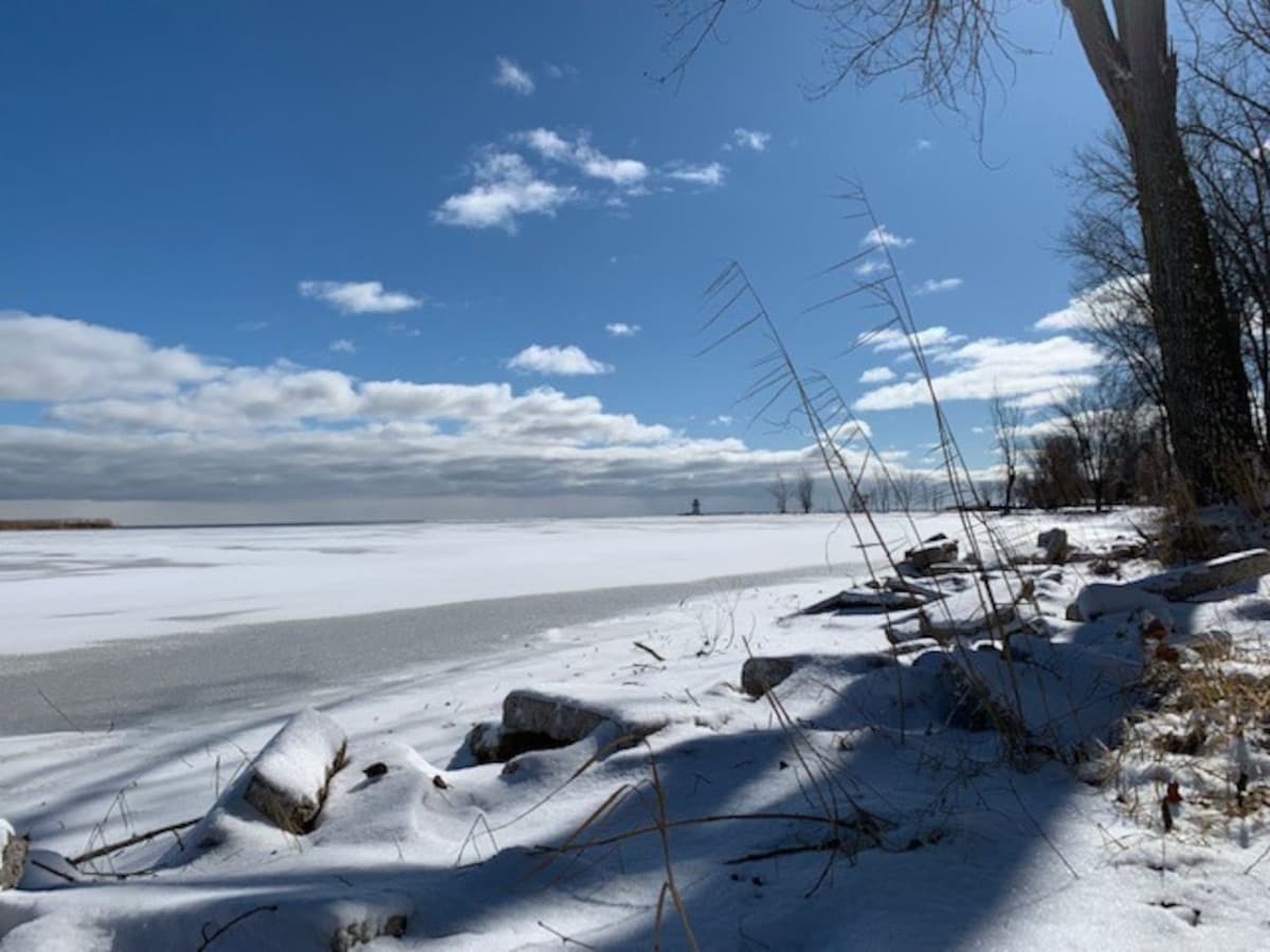 Winter Beach
