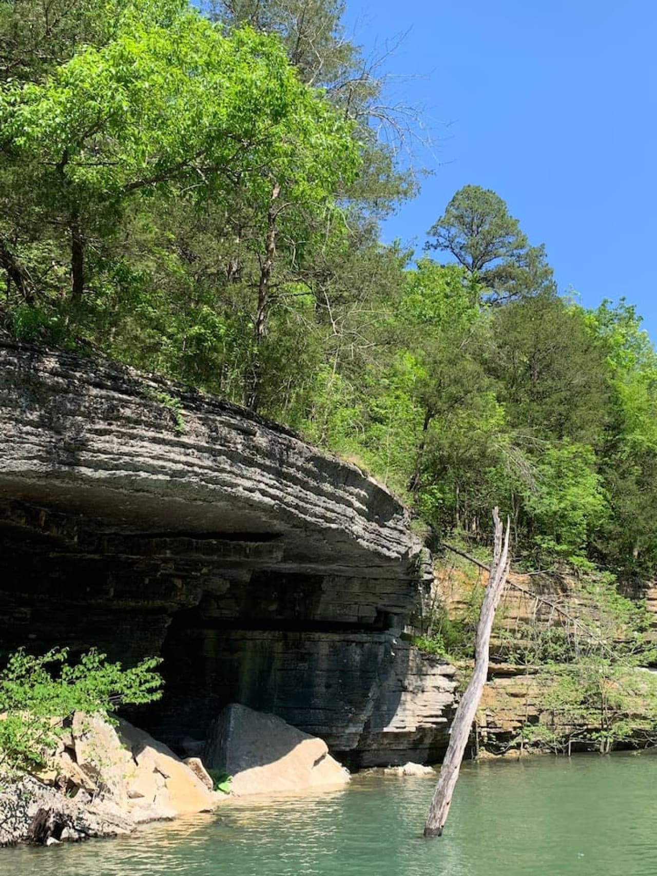 Bluff on Beaver Lake