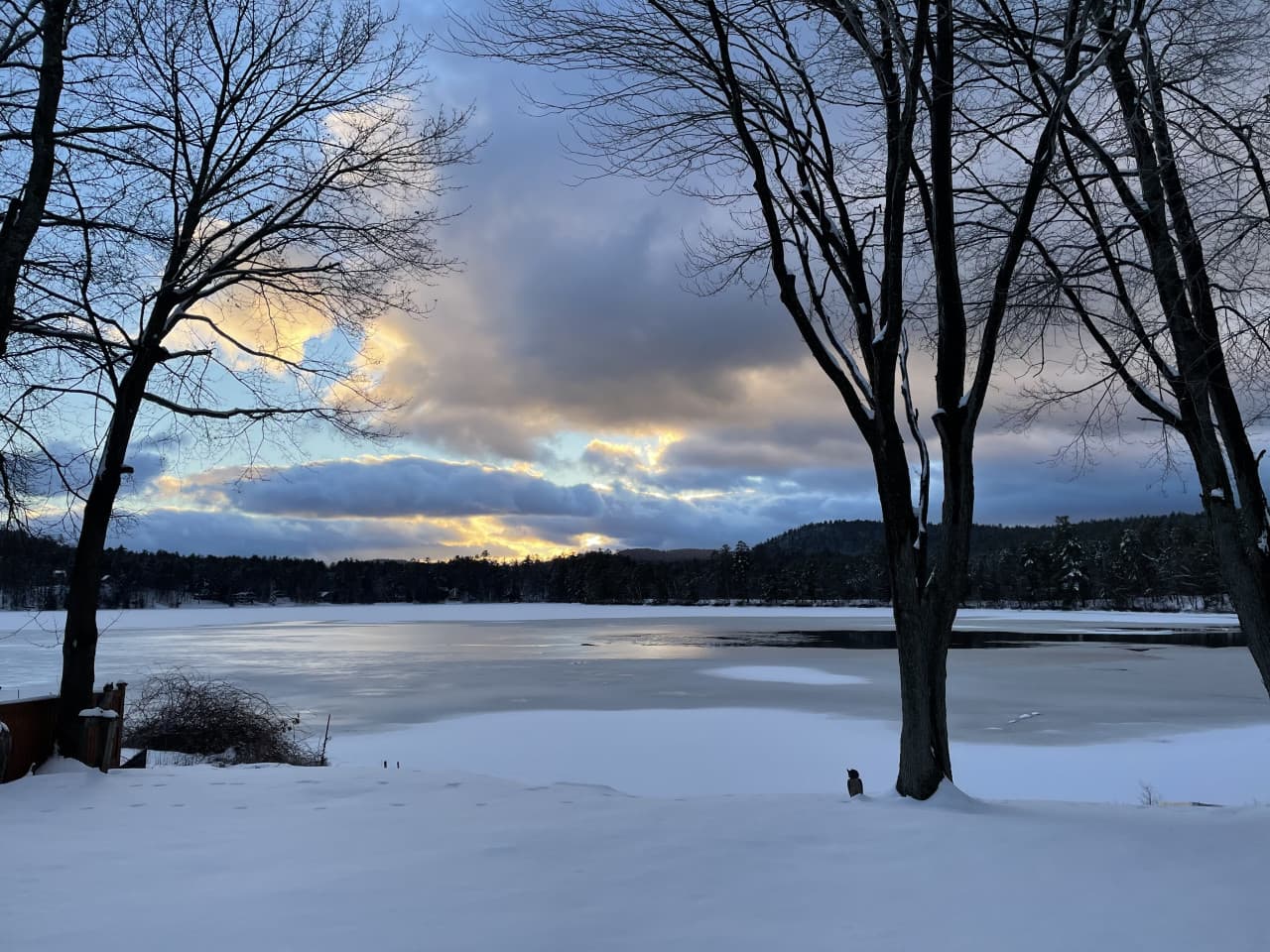 IMG_0084.jpeg