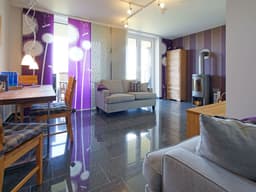 Kornblume in Hohen Wieschendorf