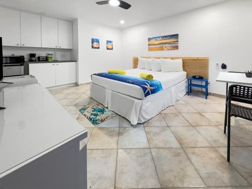 Modern Queen Studio +  Kitchen | Wi-Fi