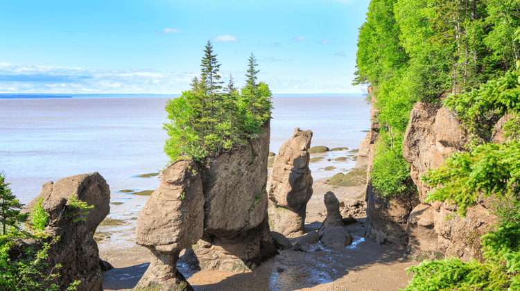 Screenshot at . . PM