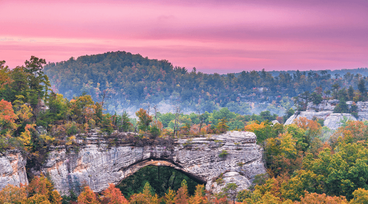 Screenshot at . . PM