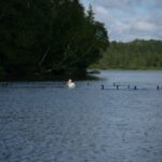 best time to visit Lake Vermilion