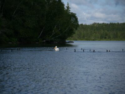 best time to visit Lake Vermilion