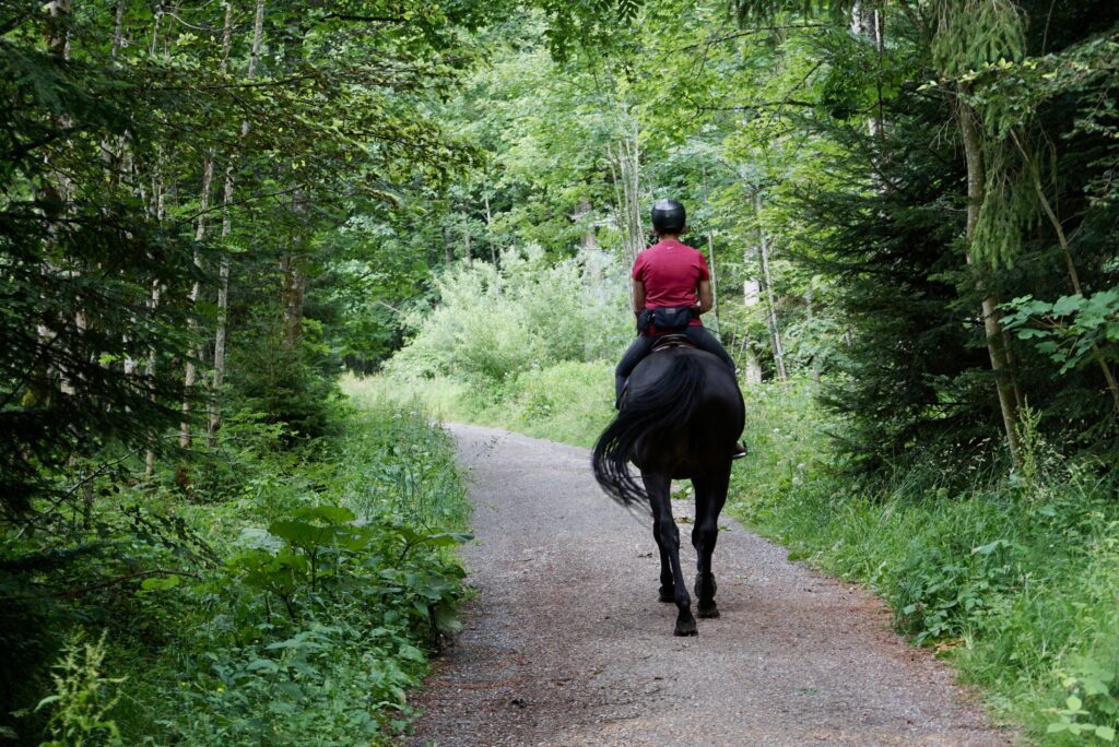 pocono horse riding