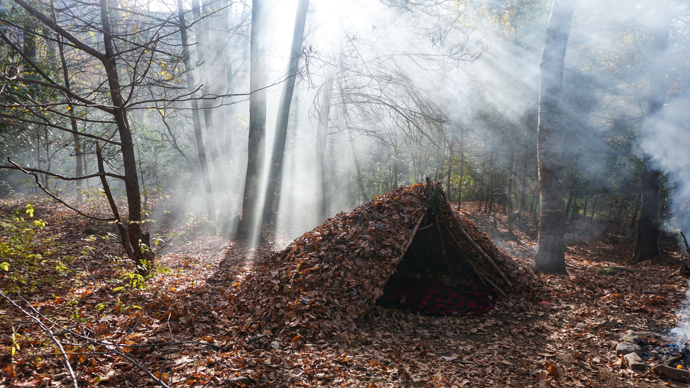 Debris Shelter in the Woods