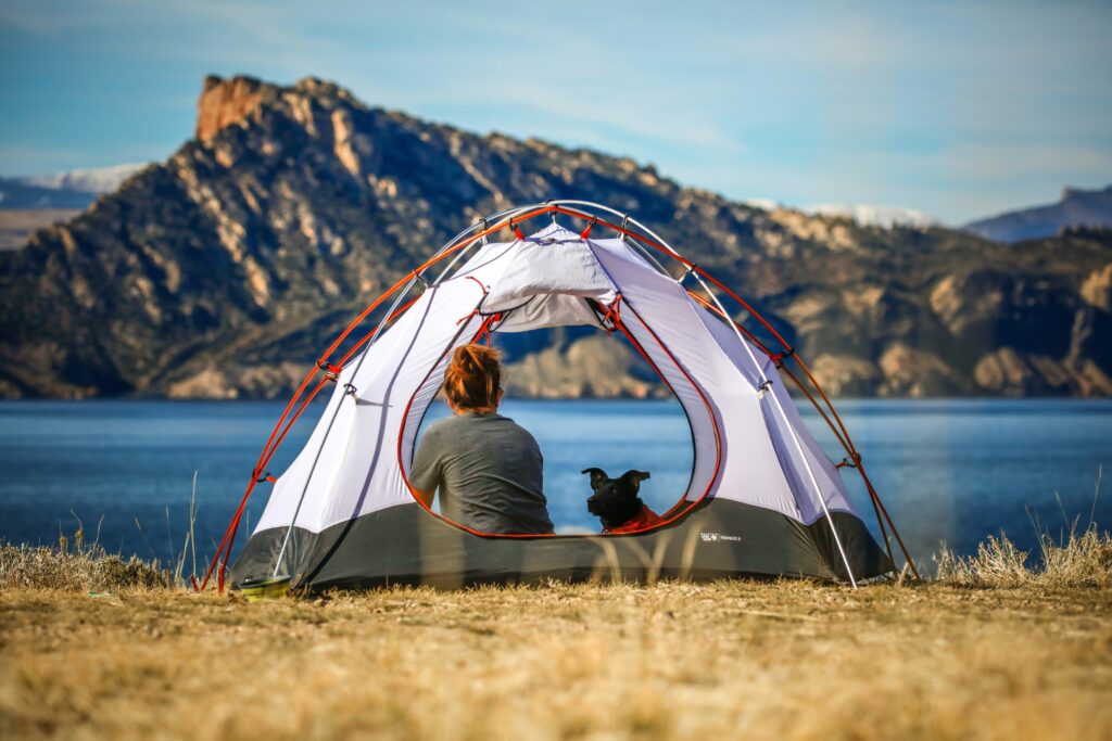 Dog Fence for Camping Essential Tips for a Pet Safe Adventure
